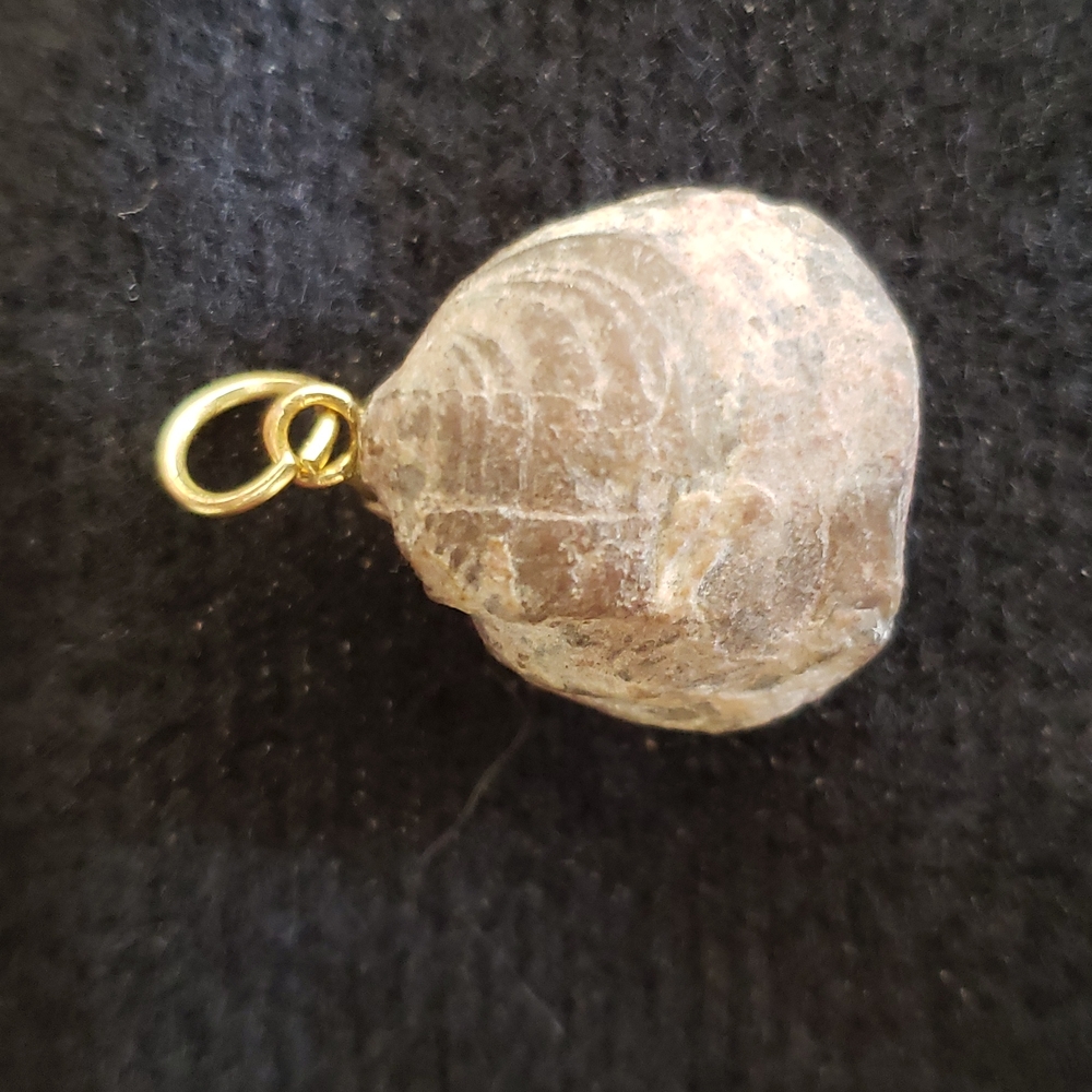 Brachiopod pendant